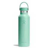 Mermaid Green