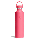 Popstar Pink